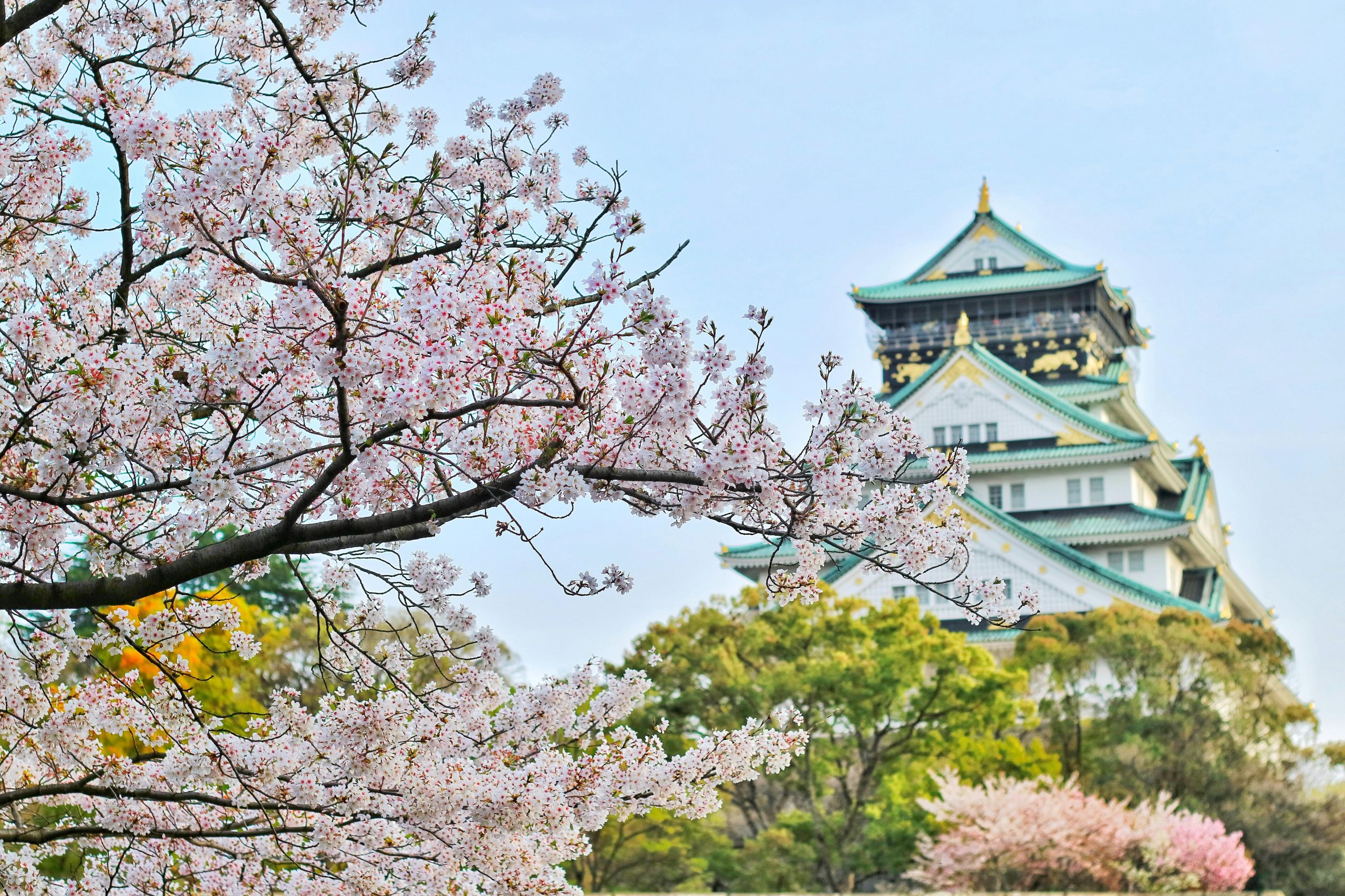 日本の景色