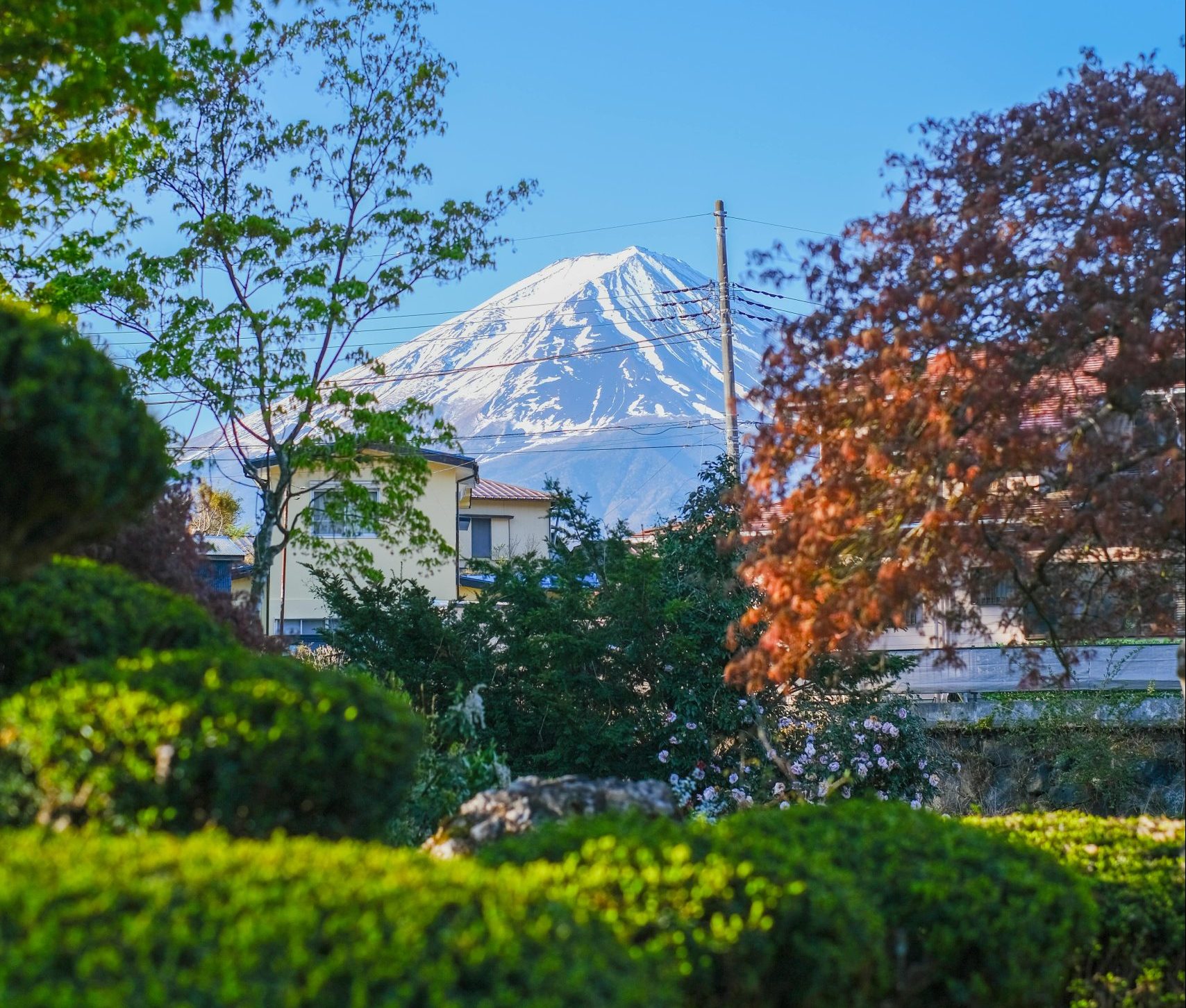 富士山